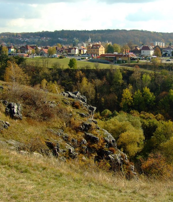 home img 02